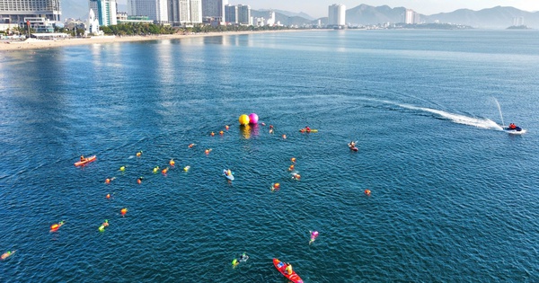 GG88 đồng hành cùng giải bơi biển SeaStar Nha Trang Bay 2026 quy tụ hơn 1.500 VĐV - hình ảnh - gg88jd.com