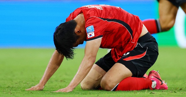 GG88 cược thể thao: Hàn Quốc chính thức nói lời chia tay World Cup 2026 - hình ảnh - gg88jd.com