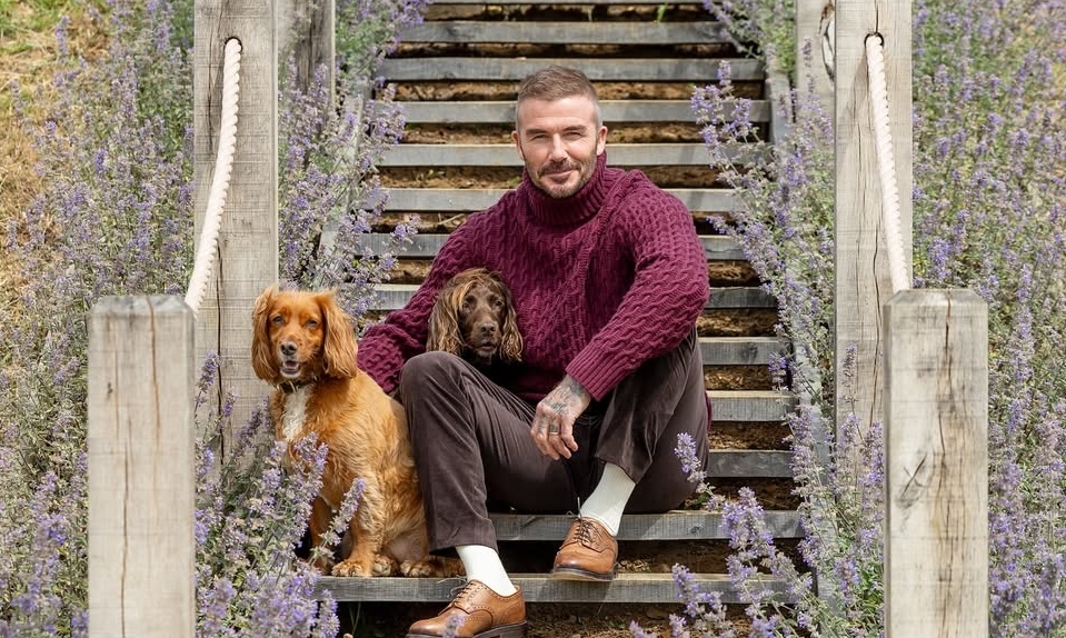Phong cách mặc giàu ngầm của David Beckham và xu hướng thời thượng cho giới trẻ Việt - hình ảnh - gg88jd.com Phong cách mặc giàu ngầm của David Beckham và xu hướng thời thượng cho giới trẻ Việt - hình ảnh - gg88jd.com